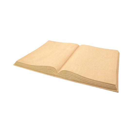 Sculpture book 29,1X19,7 cm BM1012