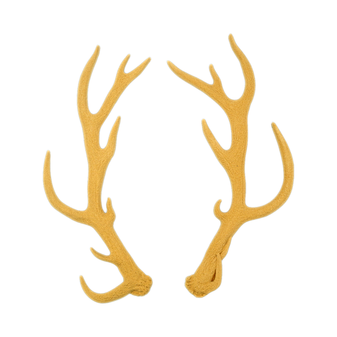 Deer antlers 24Χ2 cm BM1235
